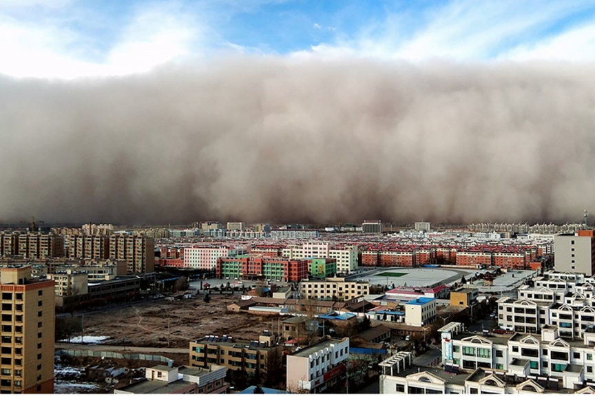 Plant trees to block sandstorms and crop burning air pollution