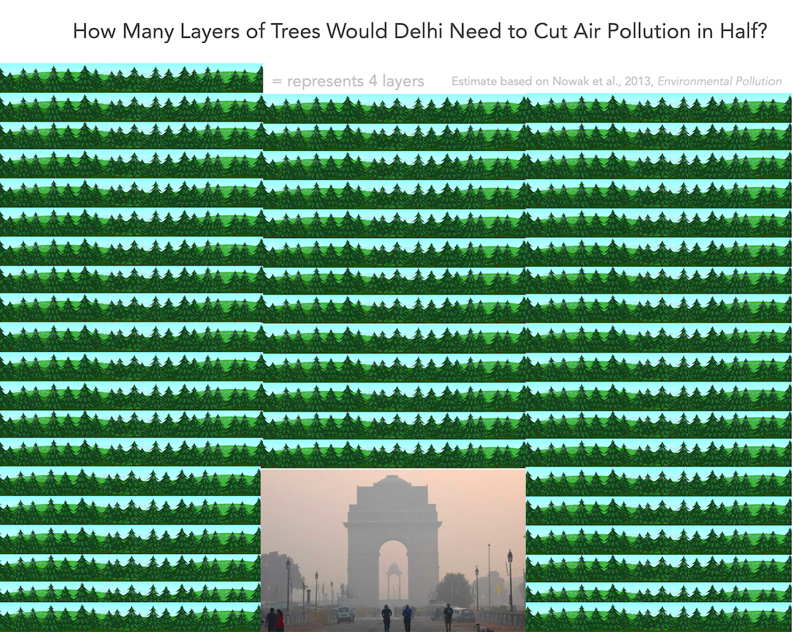 Number of trees to plant to filter out half of Delhi PM2.5 air pollution