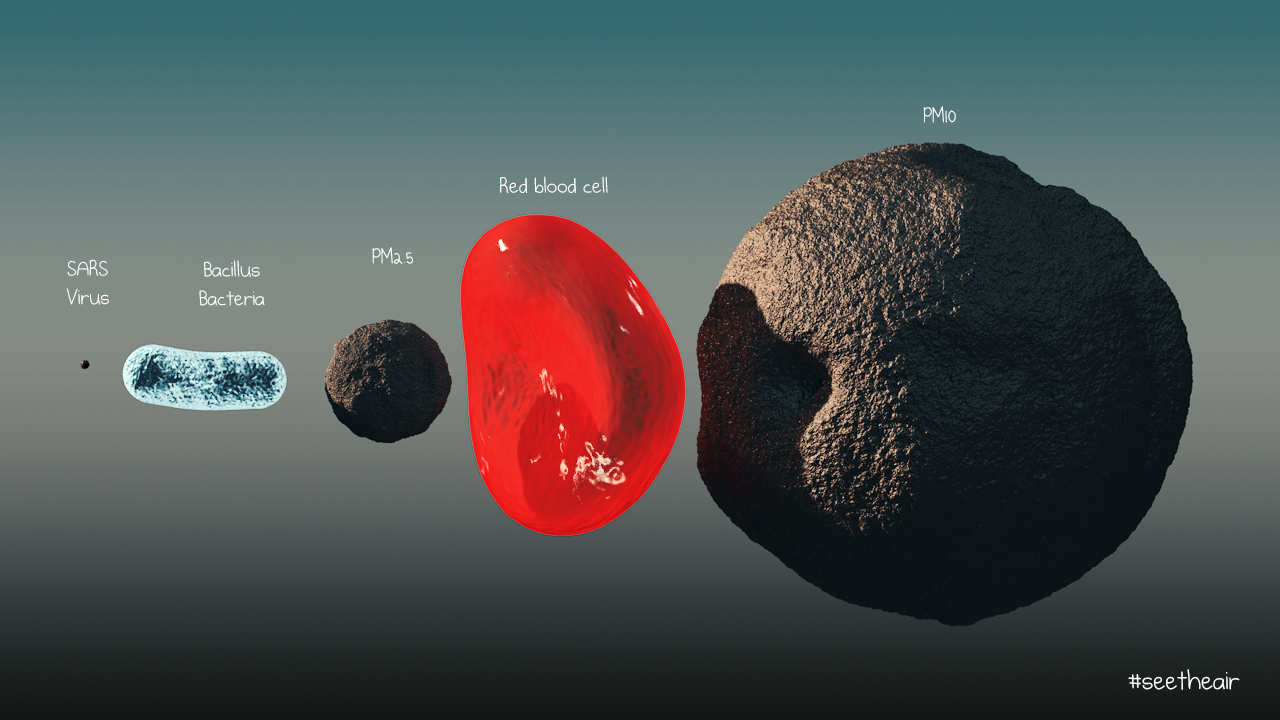 Size of PM2.5 and particulate pollution and can trees filter it